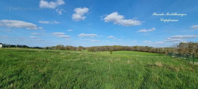 Terrain à ARZACQ-ARRAZIGUET