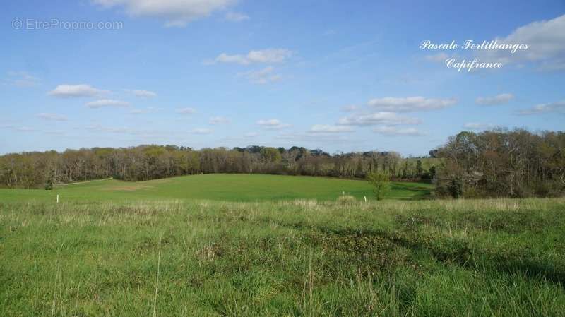 Terrain à ARZACQ-ARRAZIGUET