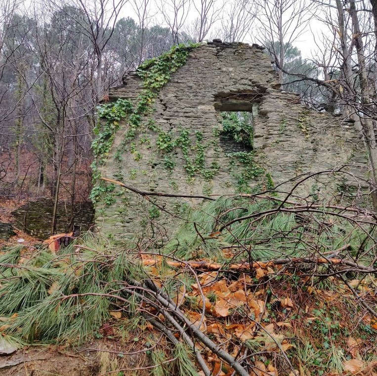 Terrain à BRANOUX-LES-TAILLADES