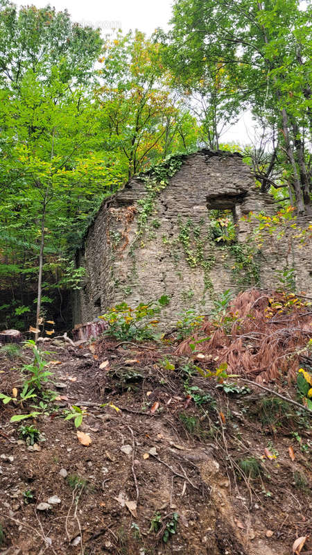 Terrain à BRANOUX-LES-TAILLADES