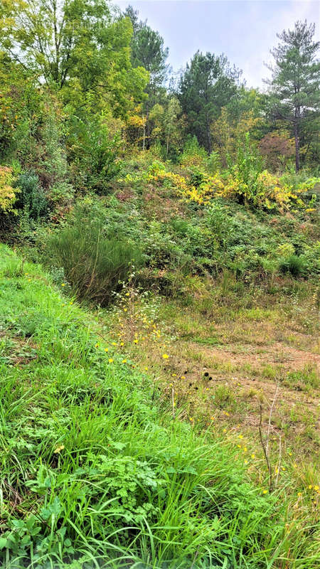 Terrain à CHAMBORIGAUD