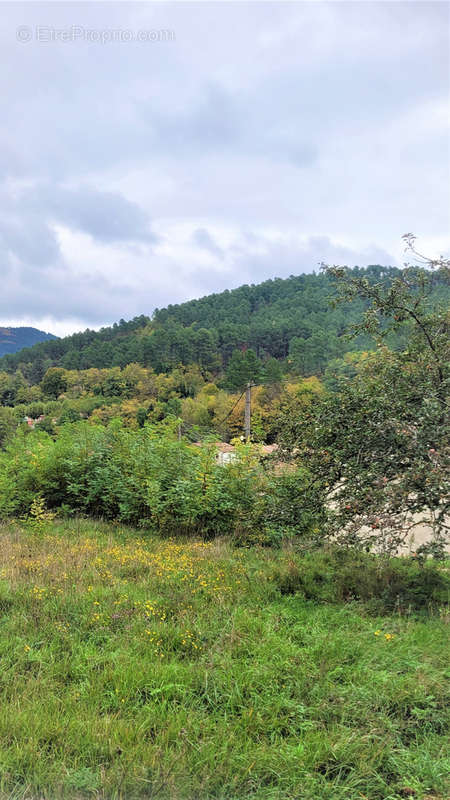 Terrain à CHAMBORIGAUD