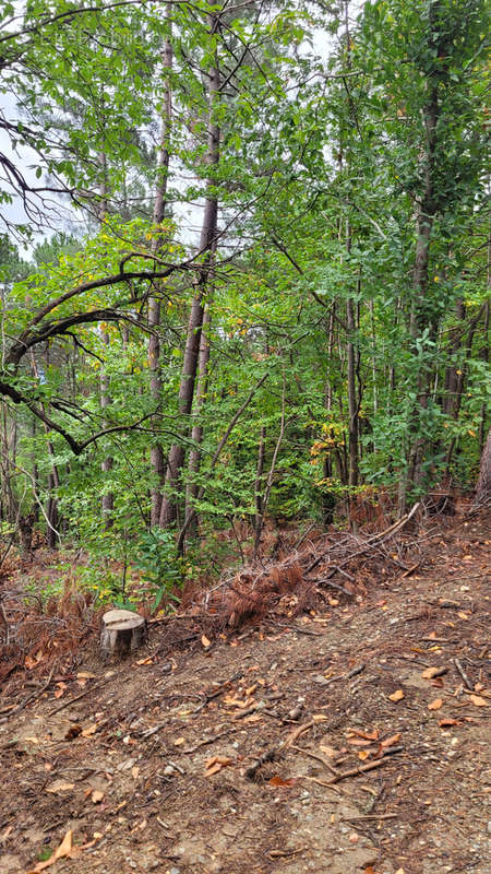 Terrain à BRANOUX-LES-TAILLADES