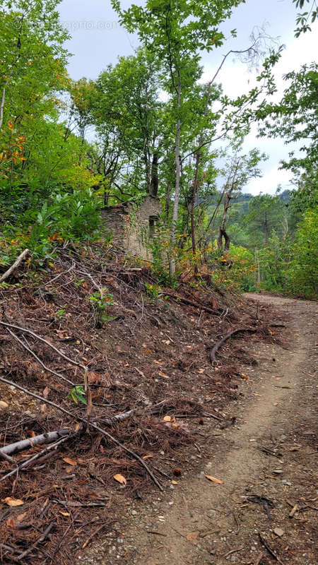 Terrain à BRANOUX-LES-TAILLADES