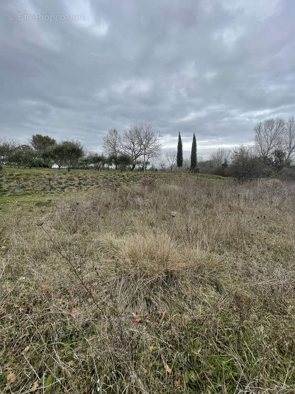 Terrain à SAINT-THEODORIT