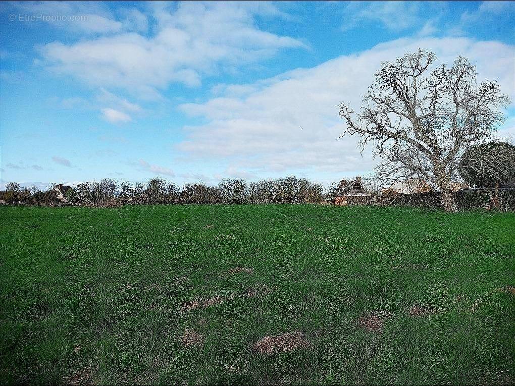 Terrain à BARQUET