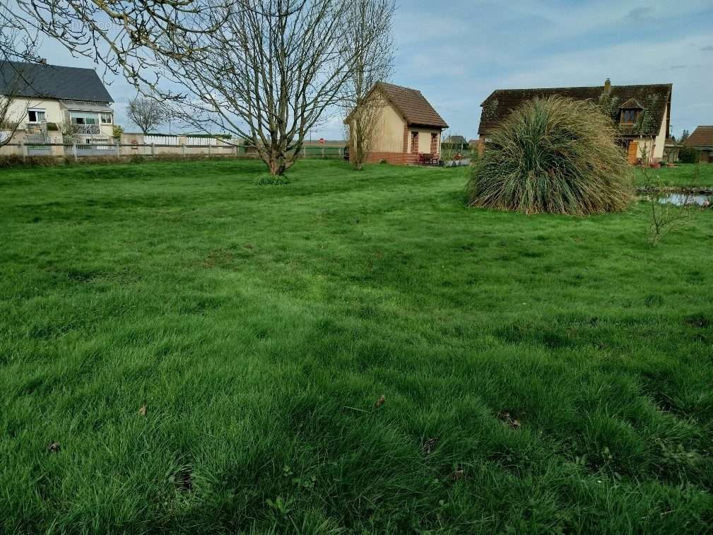 Terrain à AMFREVILLE-LA-CAMPAGNE