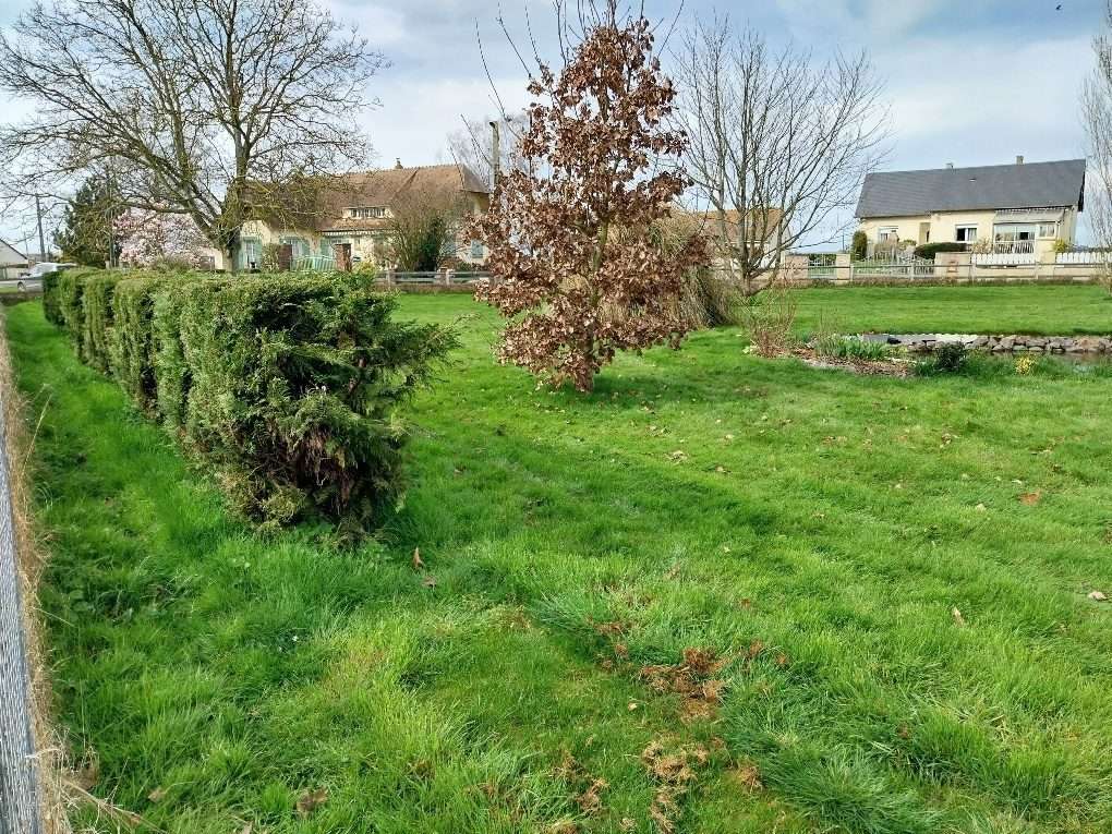 Terrain à AMFREVILLE-LA-CAMPAGNE