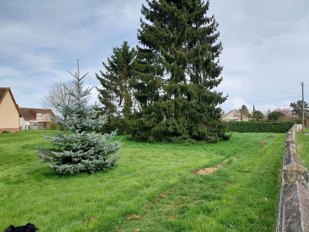 Terrain à AMFREVILLE-LA-CAMPAGNE