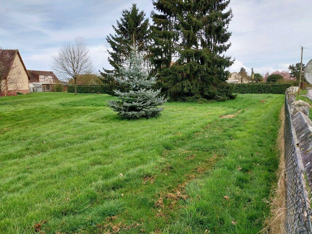 Terrain à AMFREVILLE-LA-CAMPAGNE