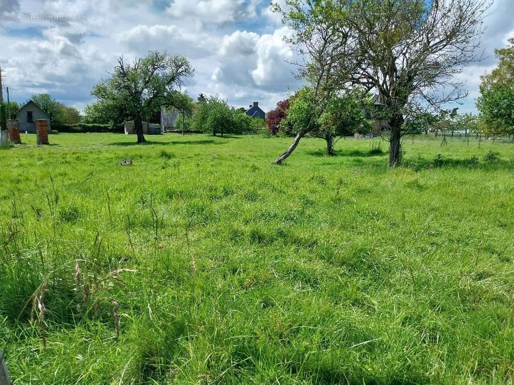 Terrain à FEUGUEROLLES