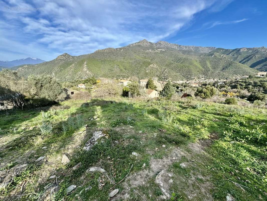 Terrain à CASTELLO-DI-ROSTINO