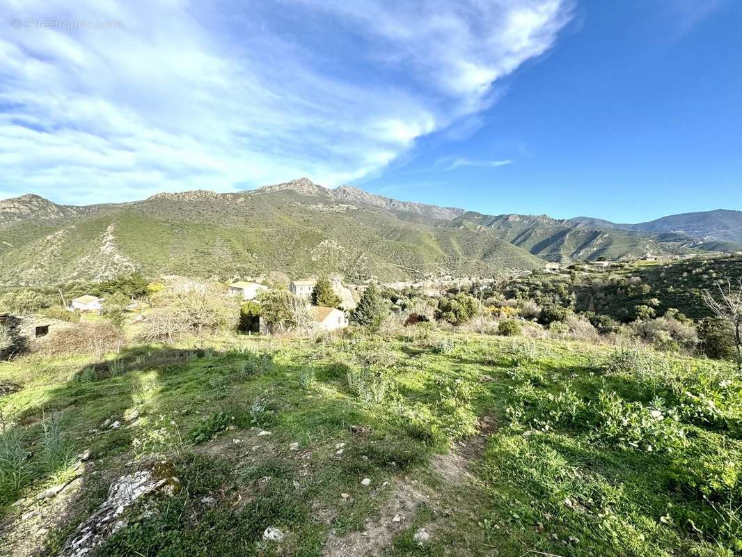 Terrain à CASTELLO-DI-ROSTINO