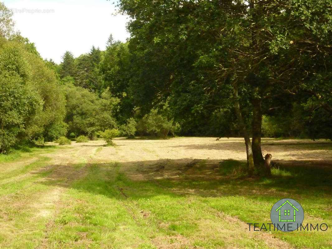 Terrain à QUIMPER