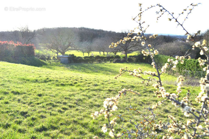 Terrain à NESPOULS