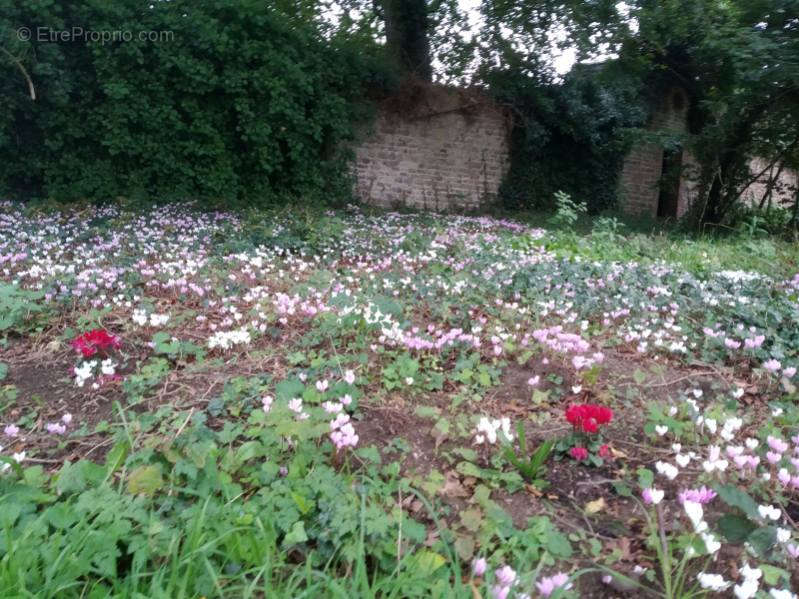 Maison à LE BENY-BOCAGE