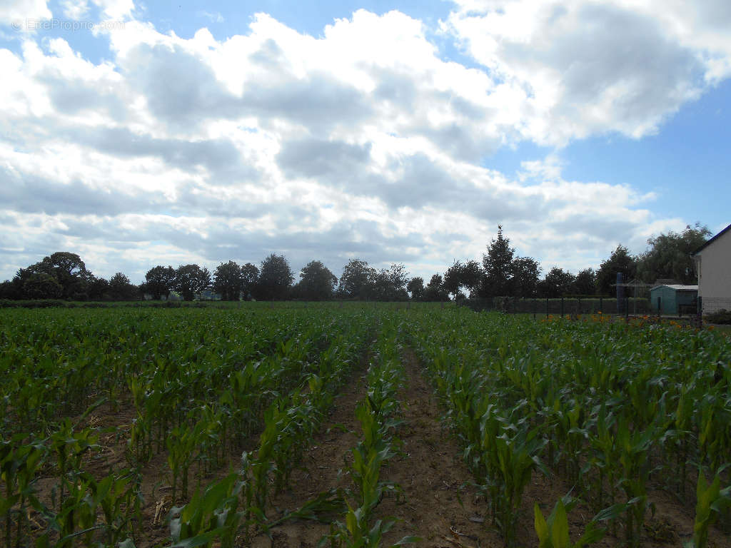 Terrain à SAINT-HILAIRE-DU-HARCOUET