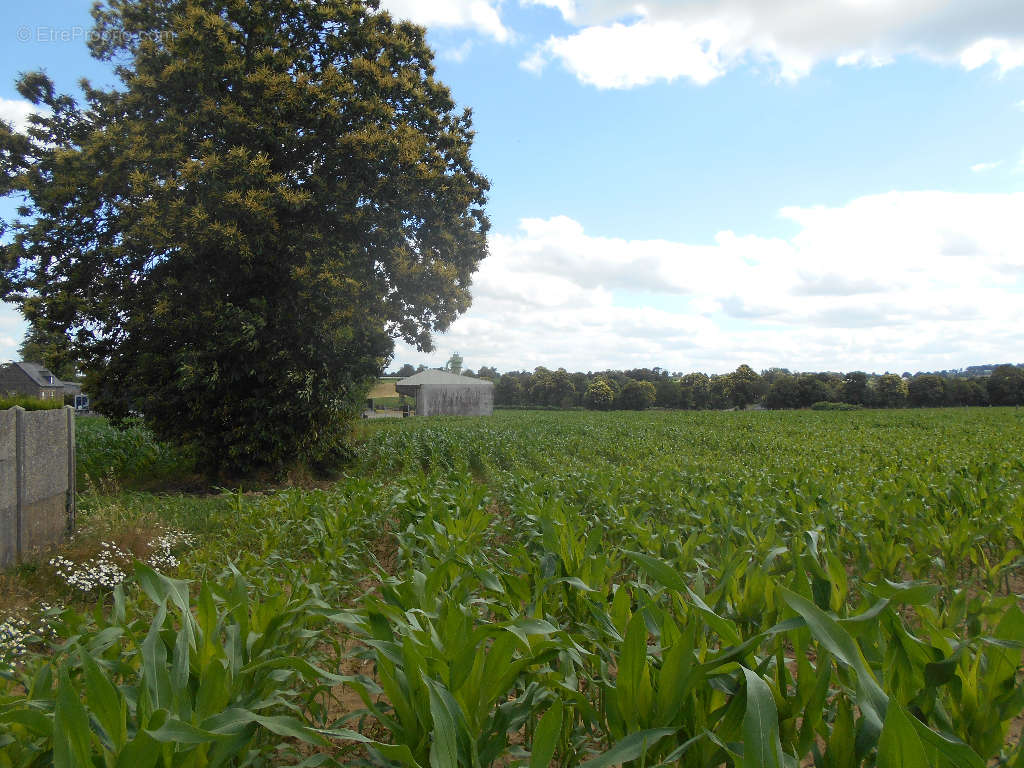 Terrain à SAINT-HILAIRE-DU-HARCOUET