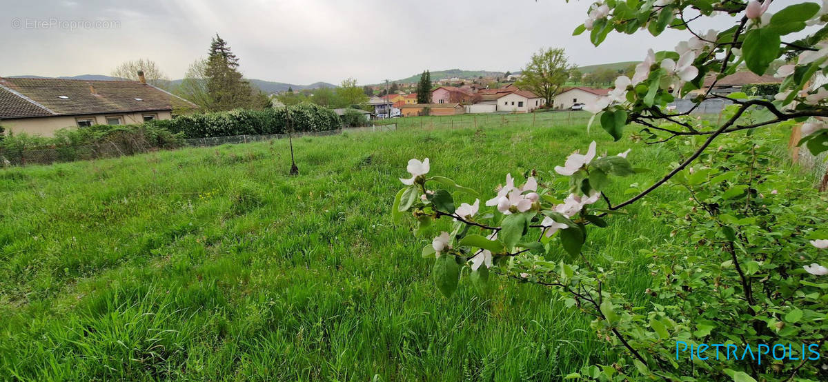 Terrain à PONTCHARRA-SUR-TURDINE