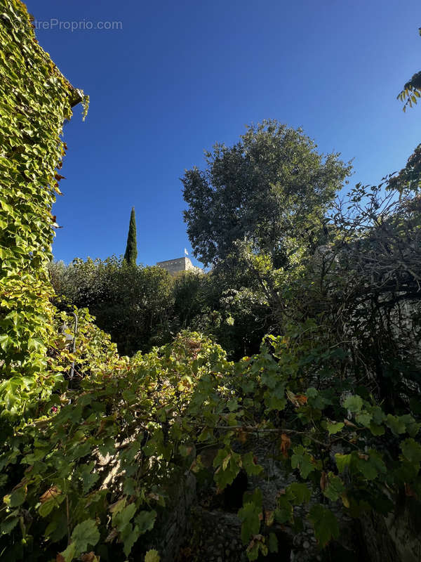 Maison à VAISON-LA-ROMAINE