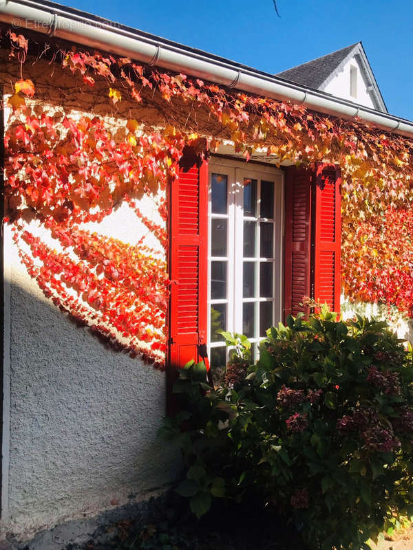 Maison à LUZ-SAINT-SAUVEUR