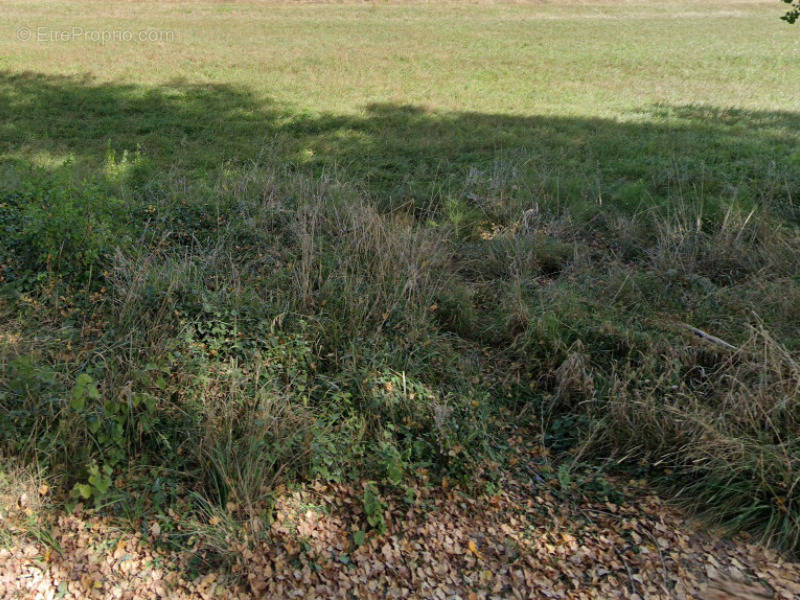 Terrain à LEOGNAN