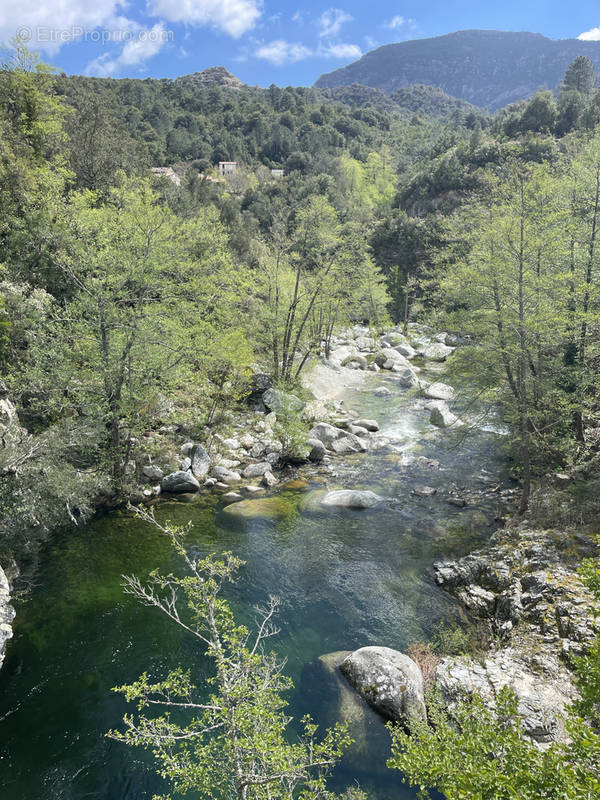 Terrain à VENTISERI