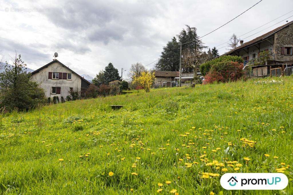 Terrain à BRIE-ET-ANGONNES