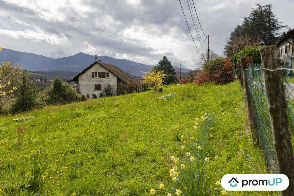 Terrain à BRIE-ET-ANGONNES