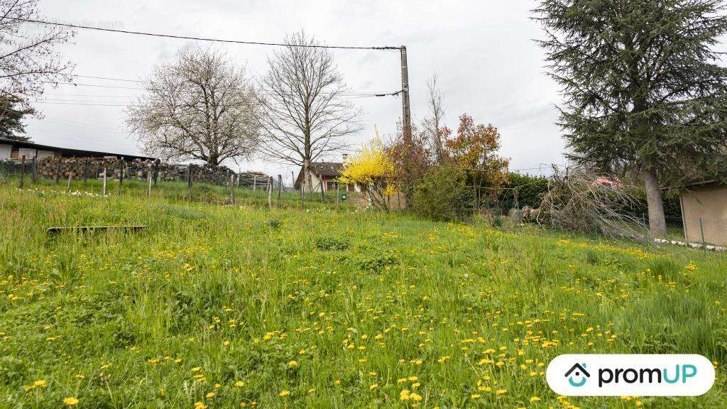 Terrain à BRIE-ET-ANGONNES