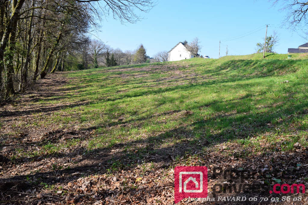 Terrain à TREIGNAC