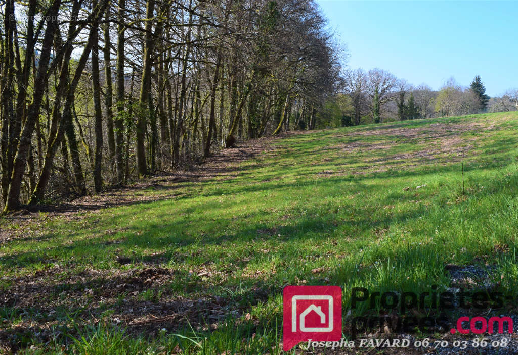 Terrain à TREIGNAC