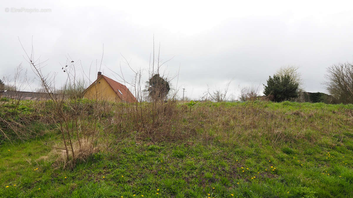 Terrain à DOMART-EN-PONTHIEU