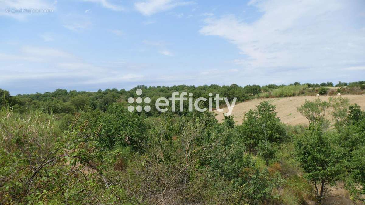 Terrain à TRESSERRE