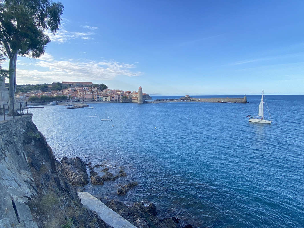 Appartement à COLLIOURE