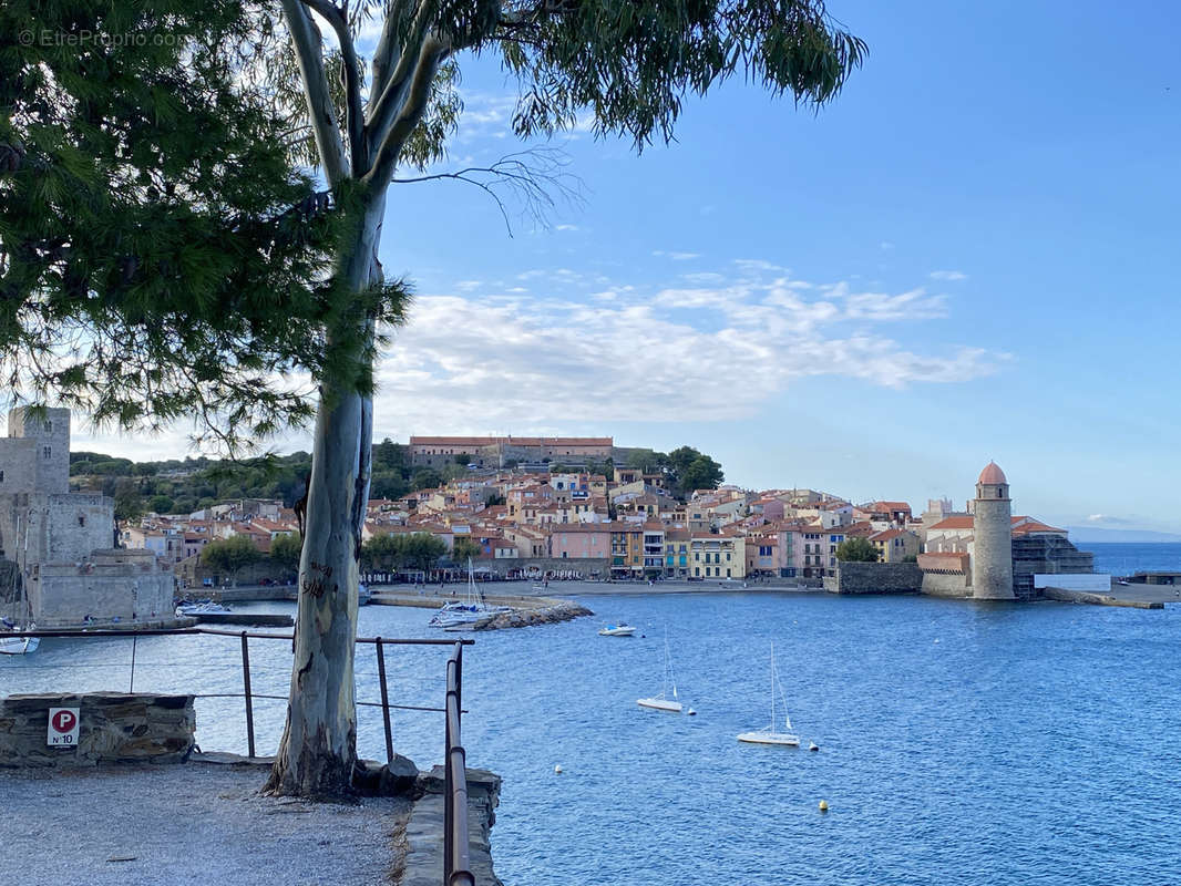 Appartement à COLLIOURE