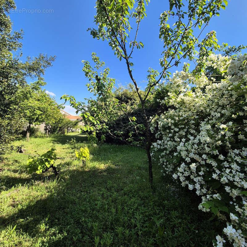 Maison à VILLENAVE-D&#039;ORNON