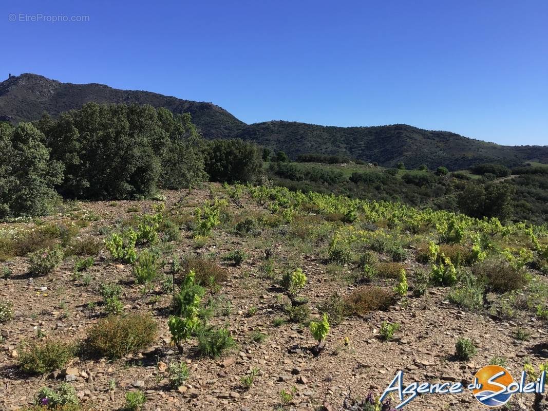 Terrain à BANYULS-SUR-MER