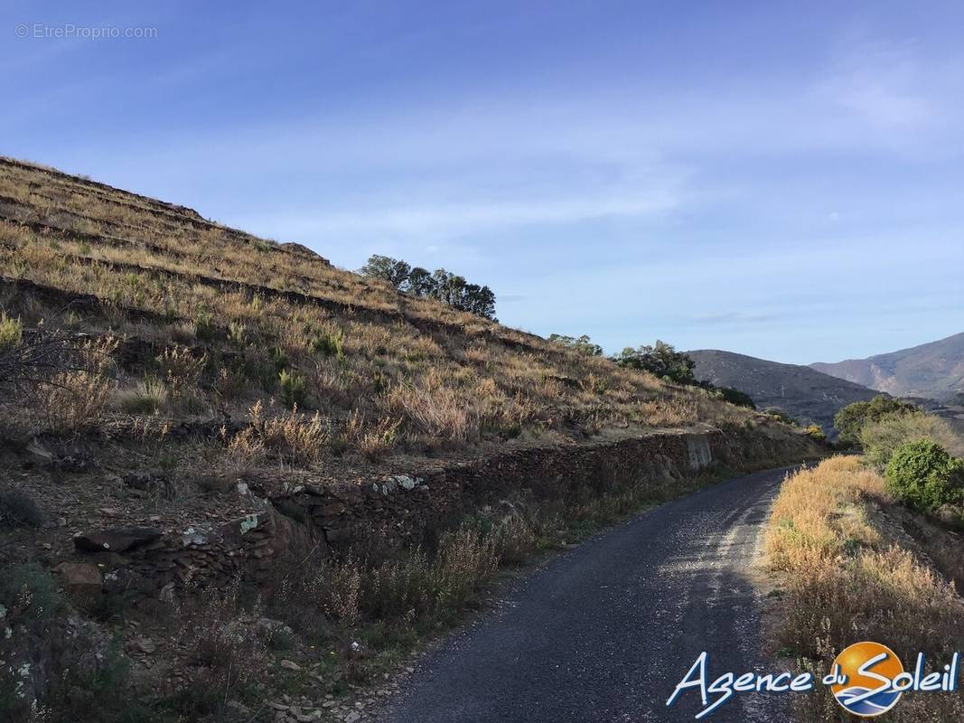 Terrain à BANYULS-SUR-MER