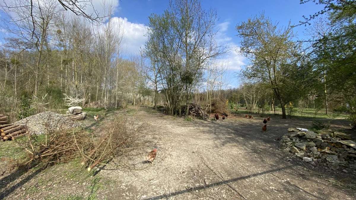 Terrain à MEZIERES-SUR-OISE