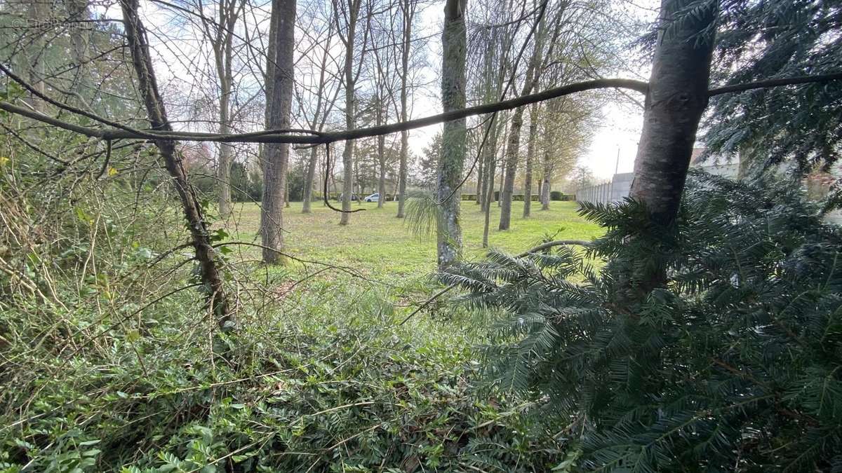 Terrain à MEZIERES-SUR-OISE