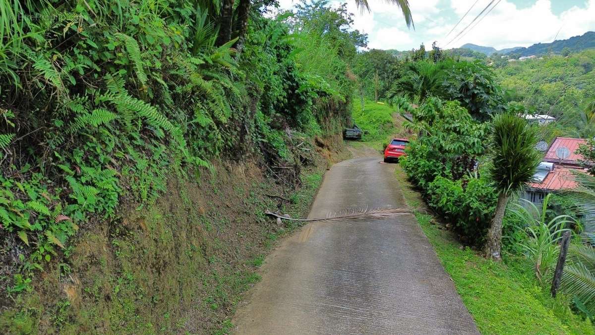 Chemin d&#039;accès - Terrain à SAINTE-MARIE