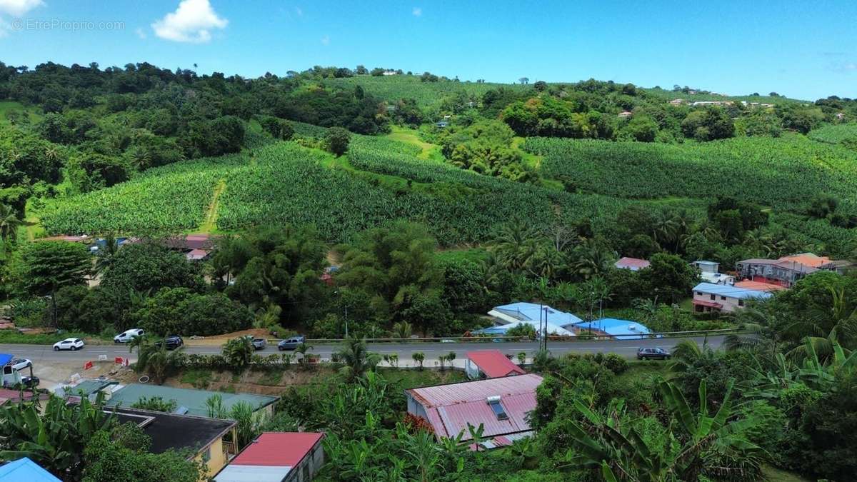 Vue sur les bananeraies - Terrain à SAINTE-MARIE