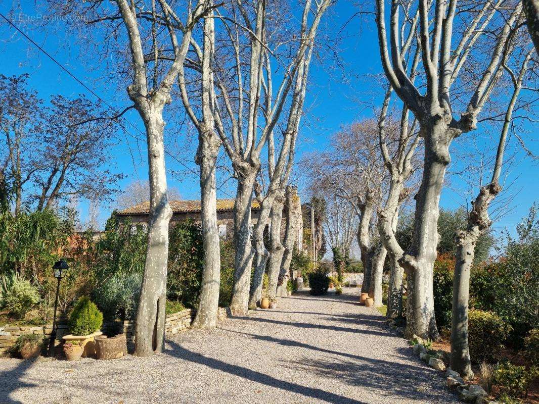 Maison à SALLELES-D&#039;AUDE