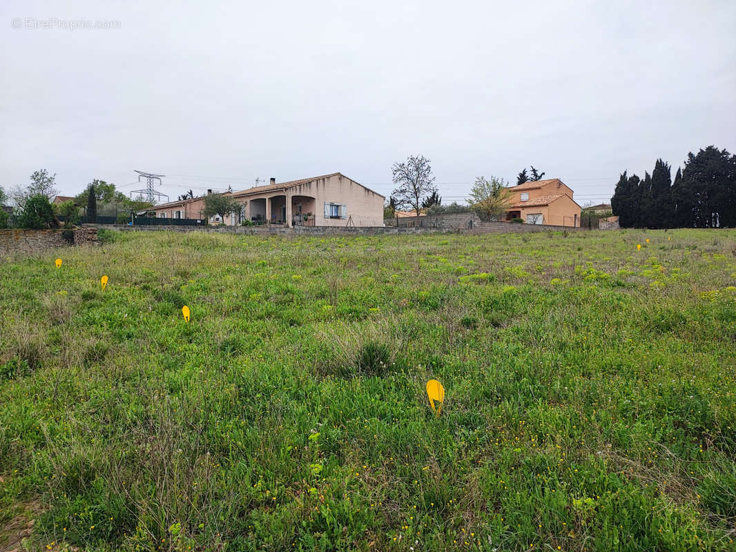 Terrain à CASTELNAU-D&#039;AUDE