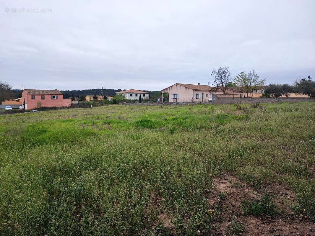 Terrain à CASTELNAU-D&#039;AUDE