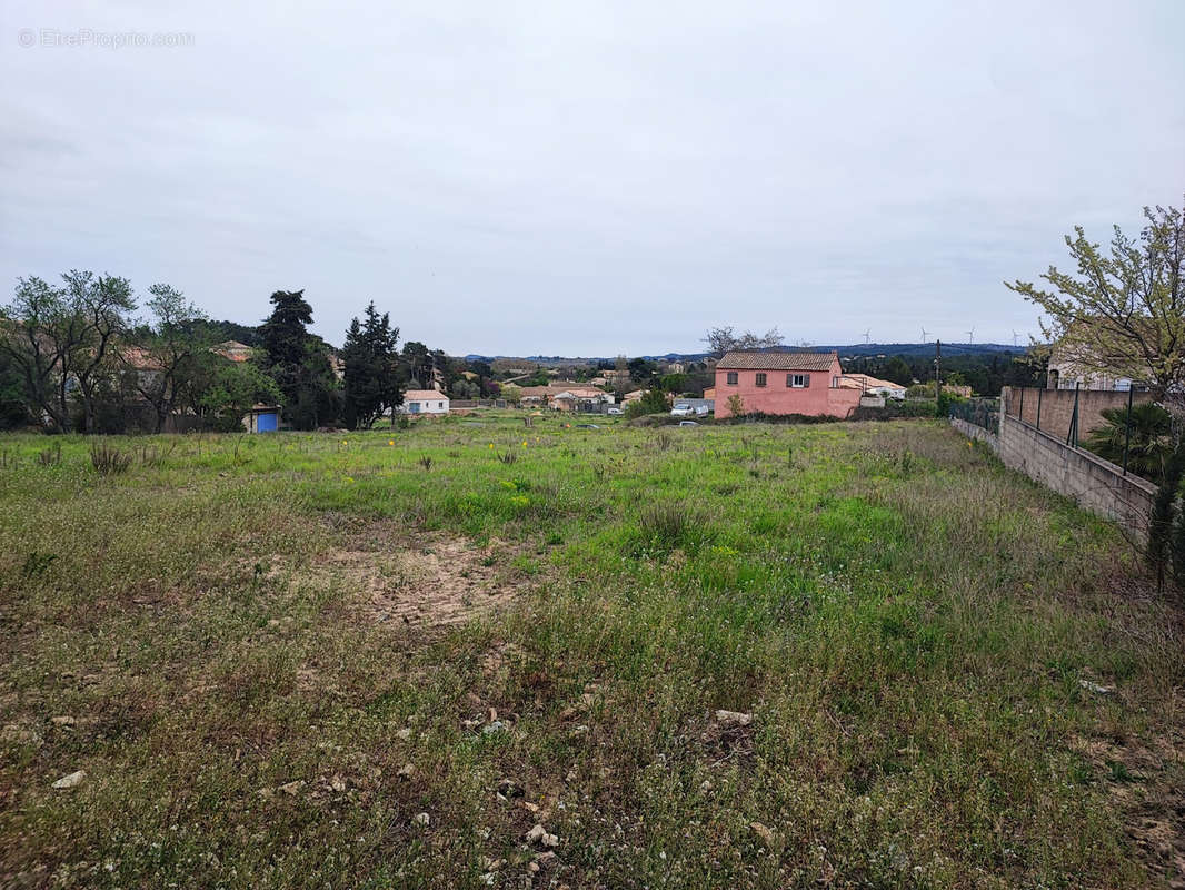 Terrain à CASTELNAU-D&#039;AUDE