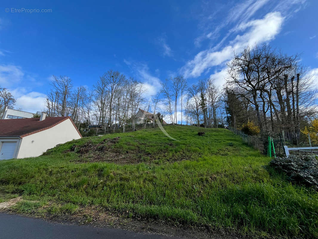 Terrain à CHAILLES