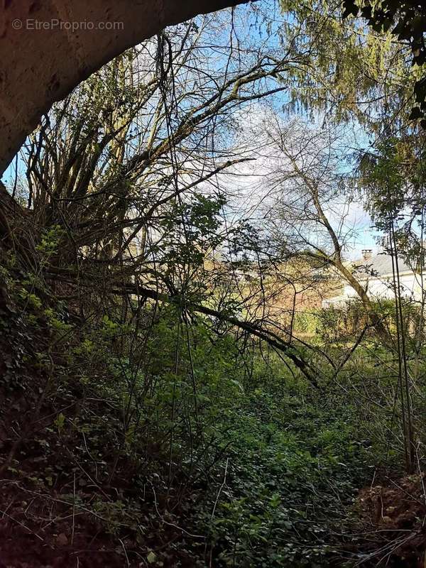 Terrain à LA CHARTRE-SUR-LE-LOIR