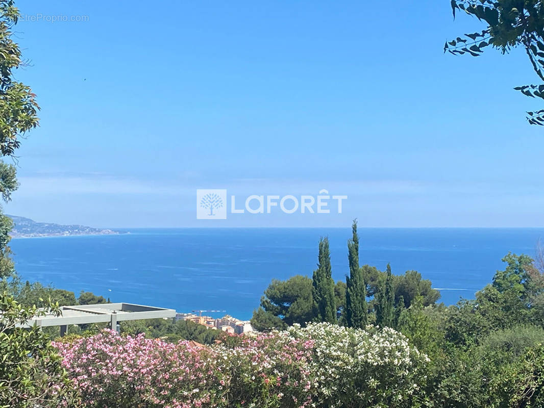 Terrain à ROQUEBRUNE-CAP-MARTIN